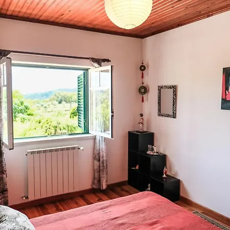 A Casa Do Olival - Barragem Castelo Do Bode-tomar * Barreira Grande