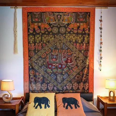 A Casa Do Olival - Barragem Castelo Do Bode-tomar * Barreira Grande