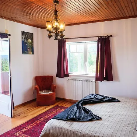 A Casa Do Olival - Barragem Castelo Do Bode-tomar 民宿 *