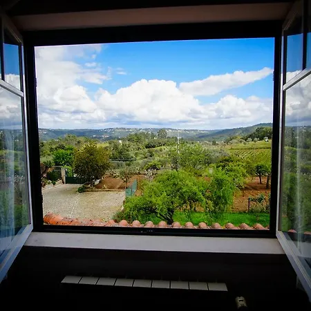 A Casa Do Olival - Barragem Castelo Do Bode-tomar Alloggio in famiglia *