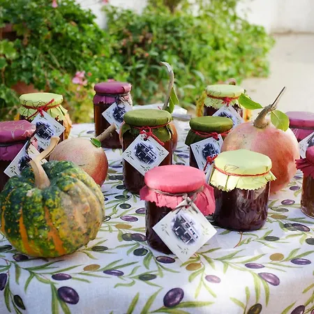 Kwatera prywatna A Casa Do Olival - Barragem Castelo Do Bode-tomar *