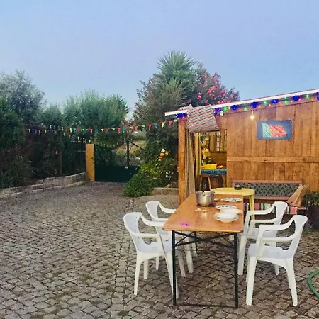 A Casa Do Olival - Zona Castelo Do Bode-tomar Privat bolig