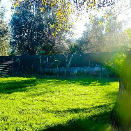 A Casa Do Olival - Barragem Castelo Do Bode-tomar * Barreira Grande