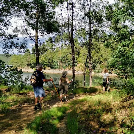 A Casa Do Olival - Barragem Castelo Do Bode-tomar *
