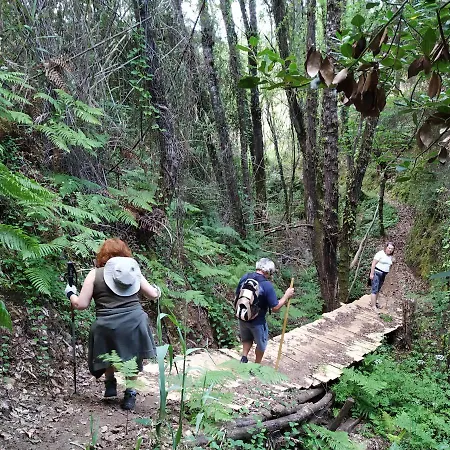 A Casa Do Olival - Barragem Castelo Do Bode-tomar *
