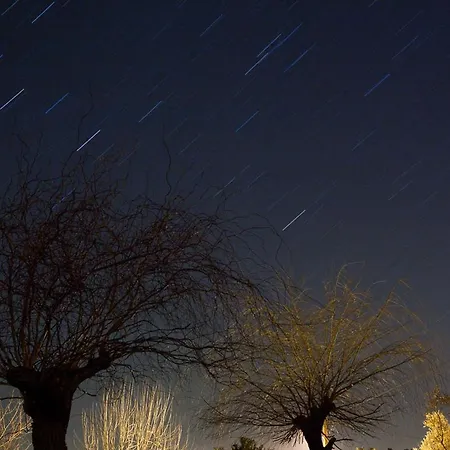 A Casa Do Olival - Barragem Castelo Do Bode-tomar