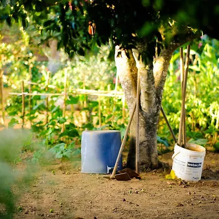 A Casa Do Olival - Barragem Castelo Do Bode-tomar 民宿