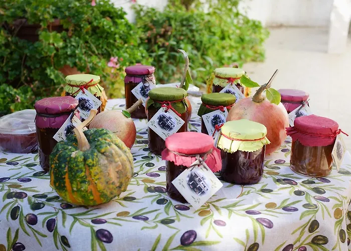 Homestay szállás A Casa Do Olival - Barragem Castelo Do Bode-tomar *