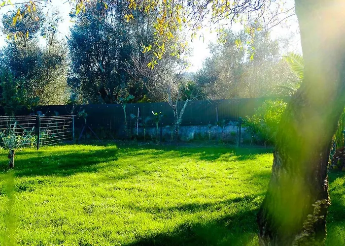 A Casa Do Olival - Barragem Castelo Do Bode-tomar * Barreira Grande