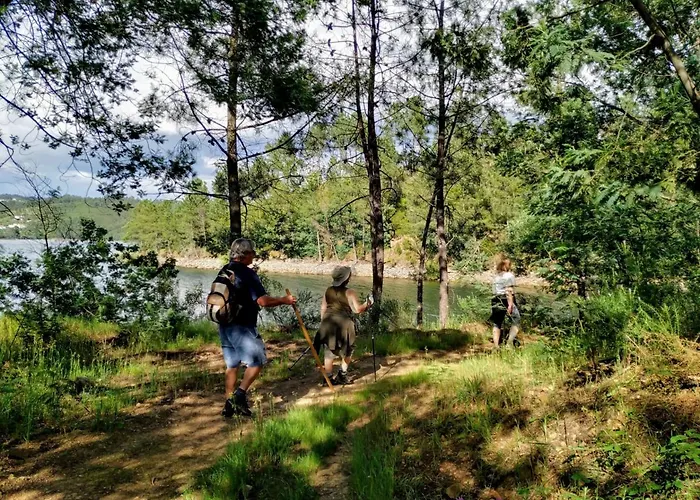 A Casa Do Olival - Barragem Castelo Do Bode-tomar *