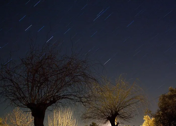 A Casa Do Olival - Barragem Castelo Do Bode-tomar