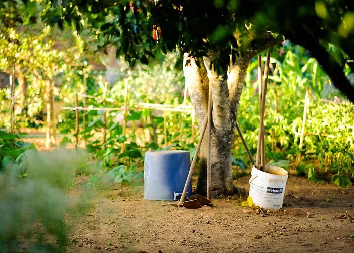 A Casa Do Olival - Barragem Castelo Do Bode-tomar Quarto em Acomodações Particulares